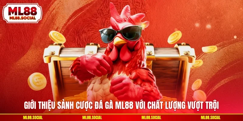 Giới thiệu sảnh cược đá gà ML88 với chất lượng vượt trội