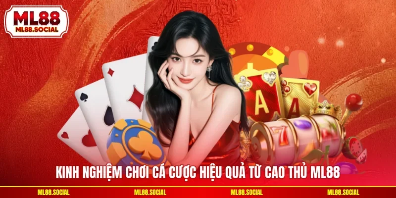 Kinh nghiệm chơi cá cược hiệu quả từ cao thủ ML88